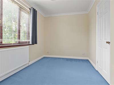 Picture 23